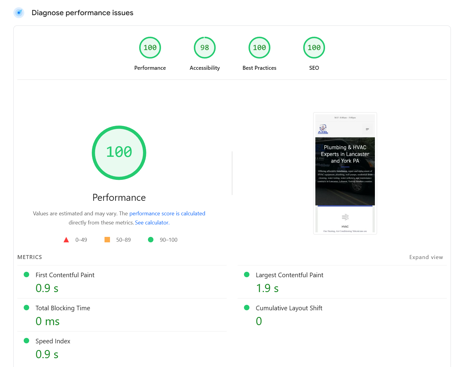 Google PageSpeed Insights report showing 100 performance score